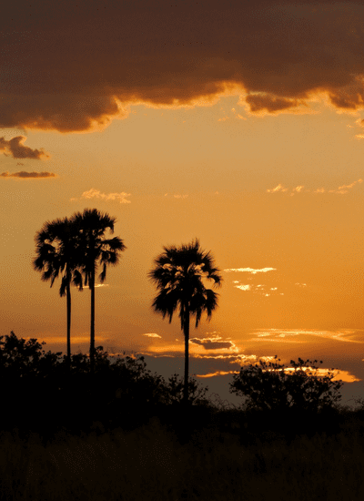 13 DAYS BEST OF EAST AFRICA MIDRANGE SAFARI