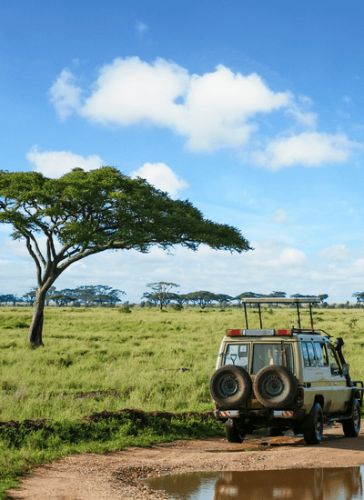 5 DAYS GLIMPSE OF KENYA MIDRANGE SAFARI