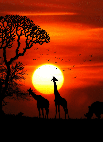 5 DAYS GLIMPSE OF KENYA LUXURY SAFARI