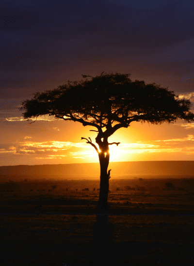 11 DAYS KENYA DELIGHT LUXURY SAFARI